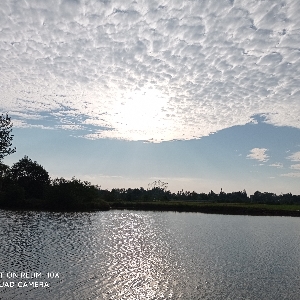 刀充 - UID:456282117 - 恶意刷屏 - 永久封禁